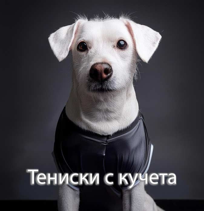top dog
